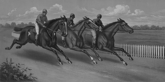 Vintage_Race Horse_006_12x24
