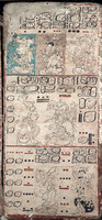 Dresden_Codex_009_14x30