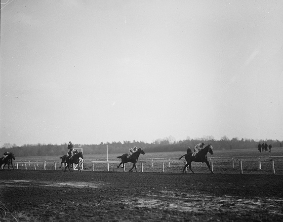 Vintage_Race Horse_009_11x14