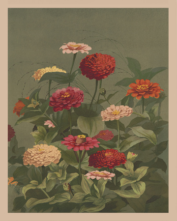19th_Cent_Litho_033_16x20_CLEAN