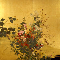 Japanese Flowers